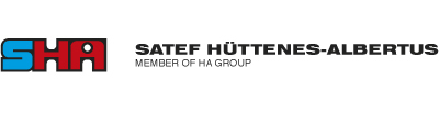 Gruppo Satef Logo